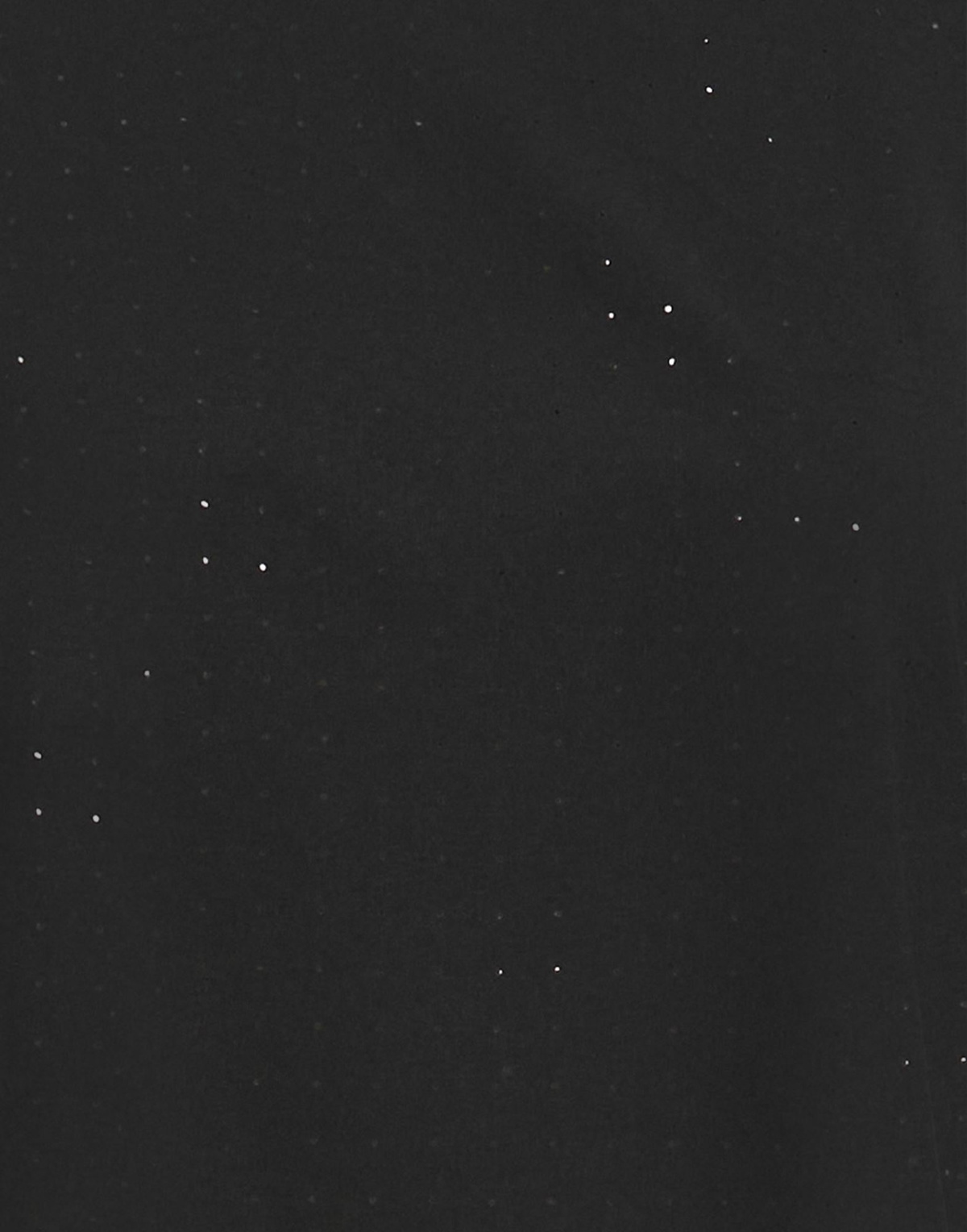 Y-3 Womens T-shirt in Black