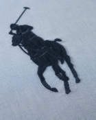 Polo Ralph Lauren Oxford Pillowcase 50 Cm X 50 Cm Blue Home Deco