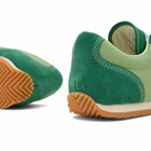 Converse Men's x Tyler the Creator 1908 Coach Jogger Sneaker in Forest Shade/Green