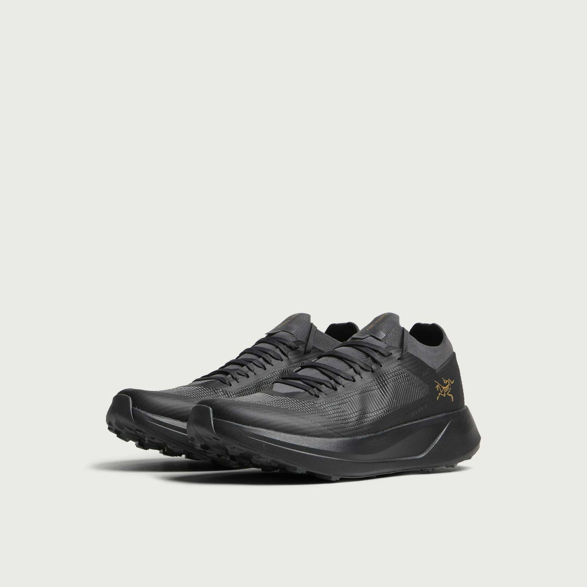Arc'teryx Men's Arcteryx Sylan 2 in Black