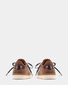 Steve Madden Penta Sneakers in Camel