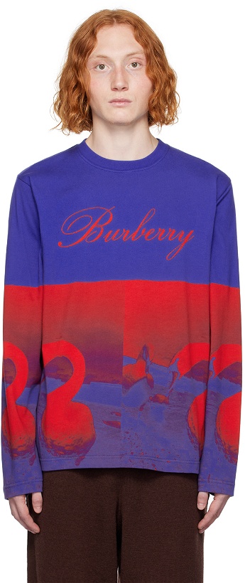 Photo: Burberry Blue & Red Swan Sweatshirt