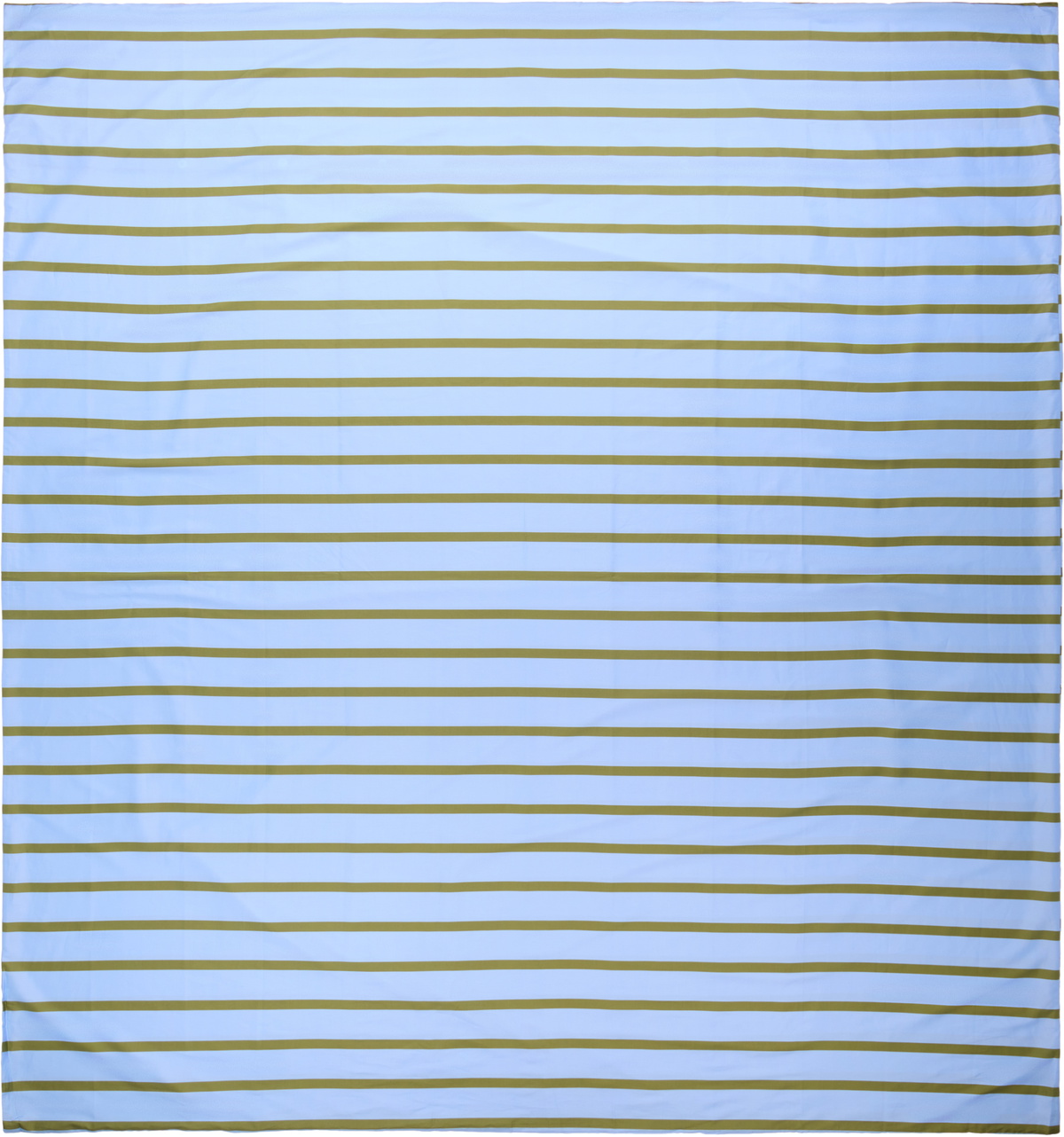 Dusen Dusen Blue & Khaki Cornflower Stripe Duvet Set, King