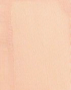Alessia Santi Womens Pants Apricot