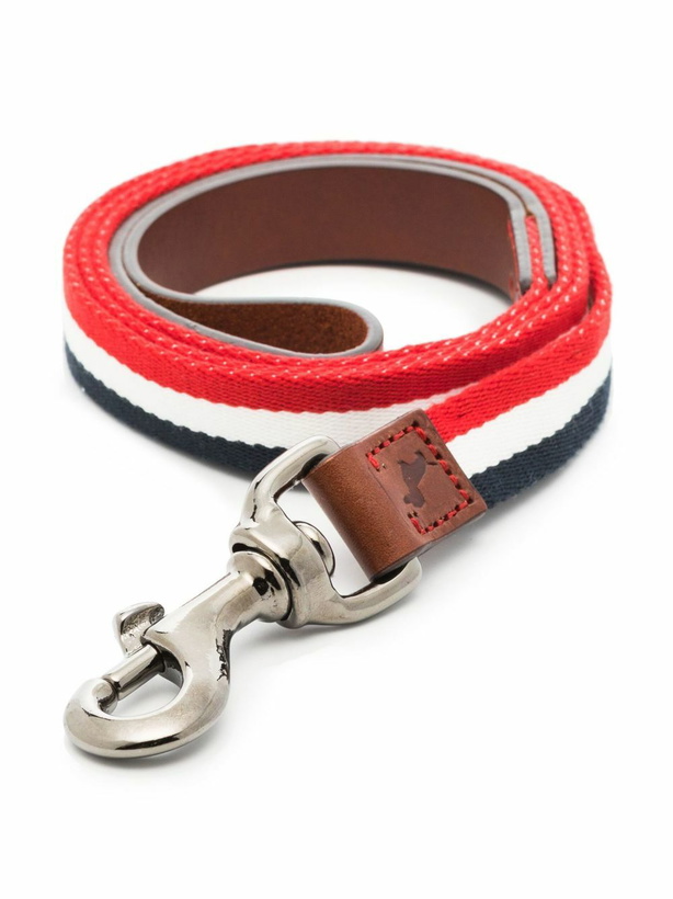 Photo: Moncler X Poldo Dog Couture Blue Striped Canvas Dog Collar