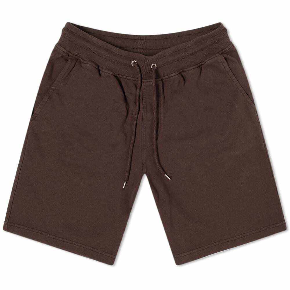 [LOW CLASSIC] / ☆ 24SS ORGANIC SILKET BANDING SHORTS /BROWN O'Neill Benton Short - Women's | Altitude Sports