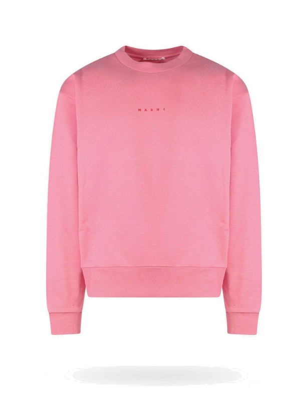 Photo: Marni Sweatshirt Pink   Mens