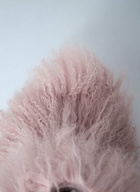UGG Classic Short Fluff Momma Boots
