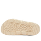 Birkenstock Men's Mogami Terra SB in Apex Eggshell