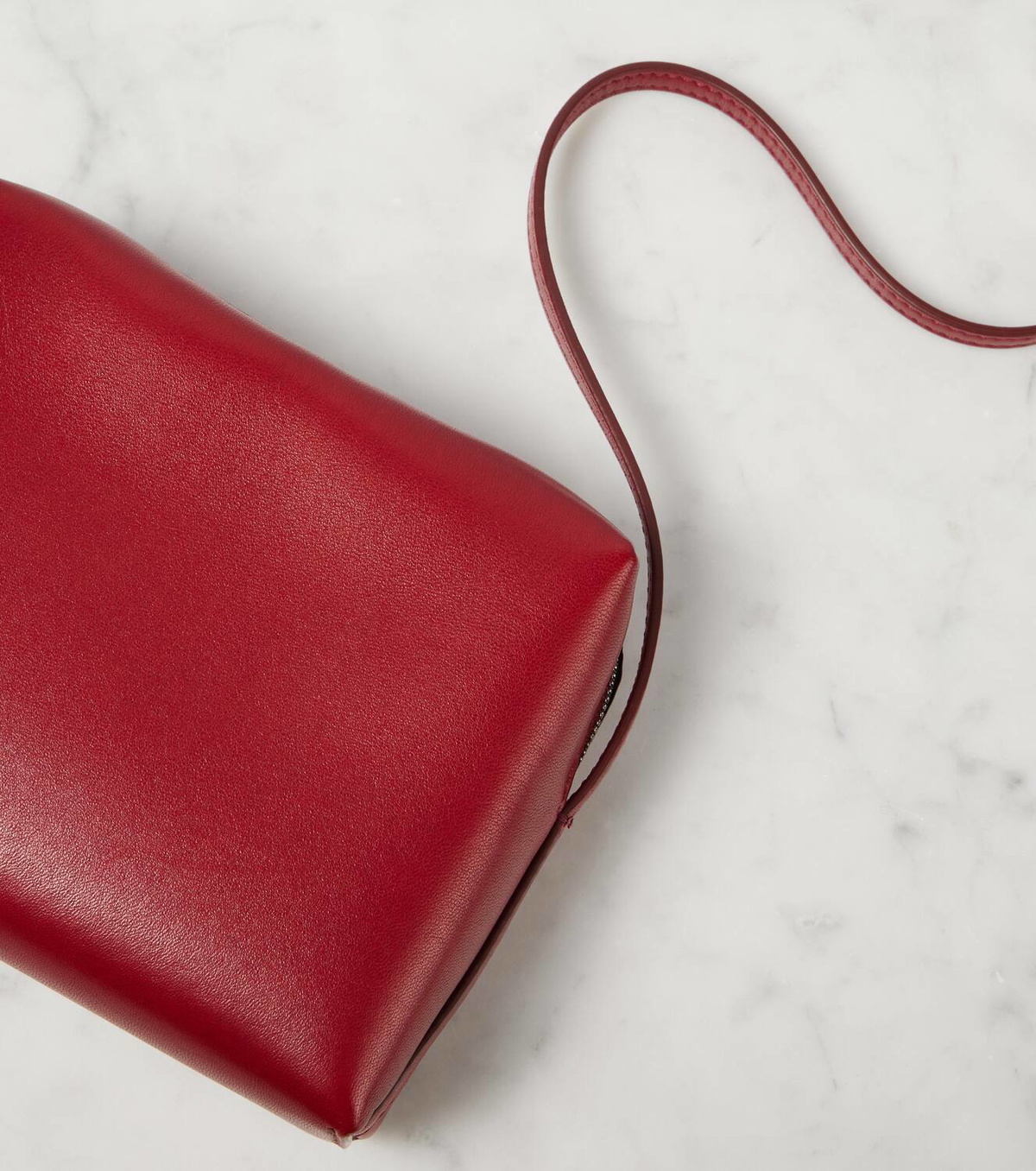 The Row Regent leather crossbody bag The Row