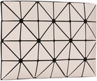 BAO BAO ISSEY MIYAKE Beige Lucent Pouch