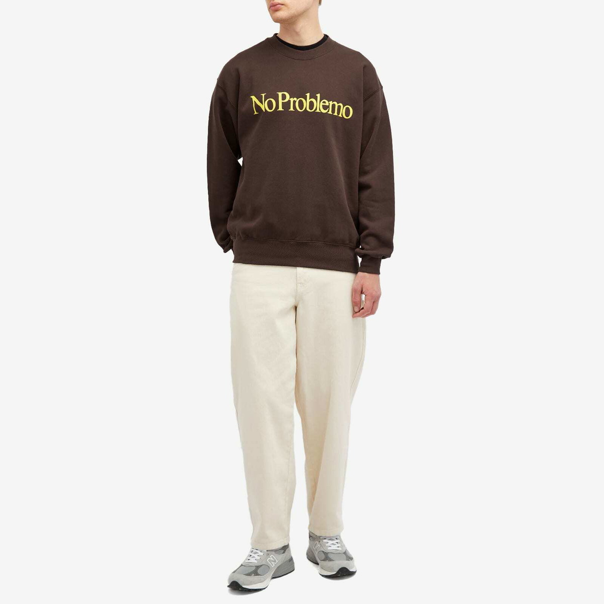 No Problemo Men's Crew Sweatshirt in Brown NoProblemo