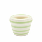 Home Studyo Louis Planter - Small in Pistachio 