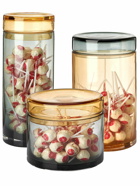 POLSPOTTEN - Caps & Jars Set Of 3 Glass Containers