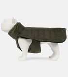 Moncler Genius - x Poldo Dog Couture dog coat