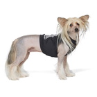 MISBHV Black Active Dog T-Shirt