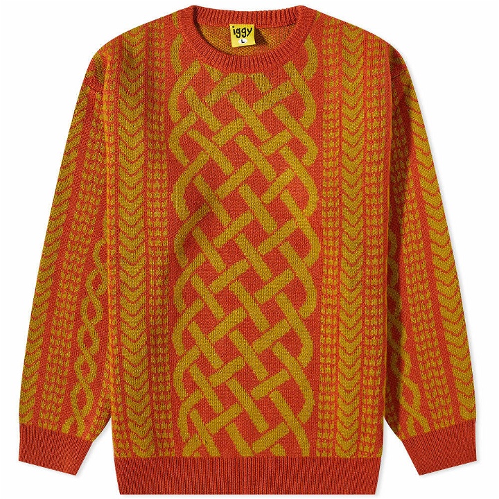 Photo: Iggy Men's Drawn Cableknit Jacquard Sweater in Honey