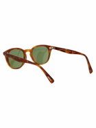 Oliver Peoples Desmon Sun Sunglasses