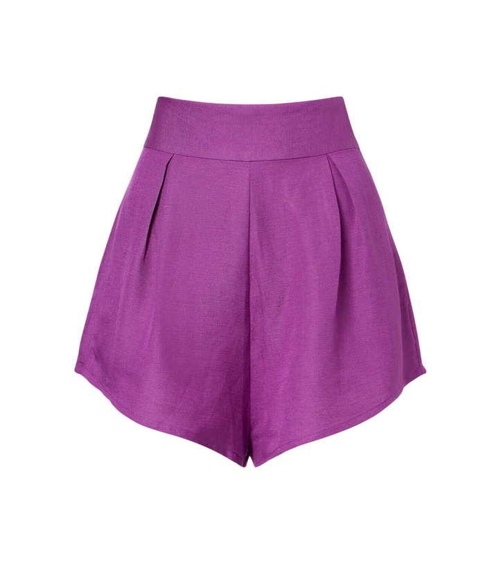 Photo: Adriana Degreas Pleated linen-blend shorts