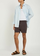 Raith Silas Striped Woven Swim Shorts Brown