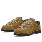 Danner Men's Trail Field ID Low Gore-Tex Hiking Boots in Cascade