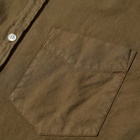 NN07 Men's Button Down Errico Oxford Shirt in Clay