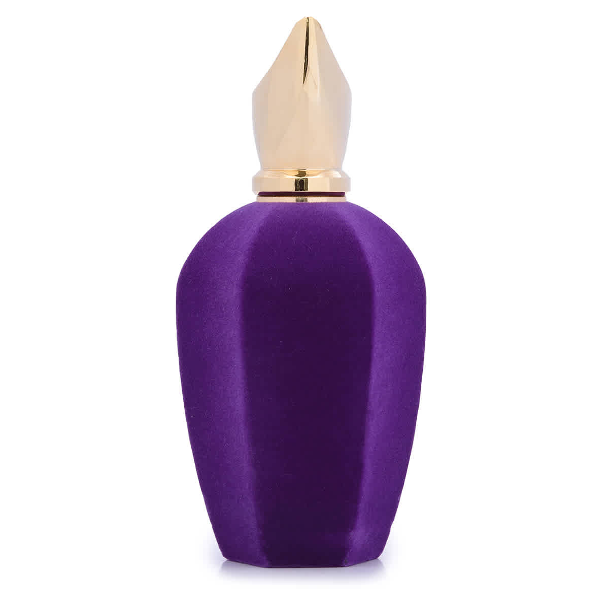 Xerjoff Unisex V Accento EDP Spray 3.4 Oz Fragrances 8033488156206