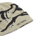 Arc'teryx Grotto Toque in Habitat/Black 