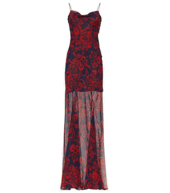 Photo: Dries Van Noten Printed silk georgette maxi dress