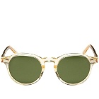 Moscot Miltzen Sunglasses in Flesh/Green