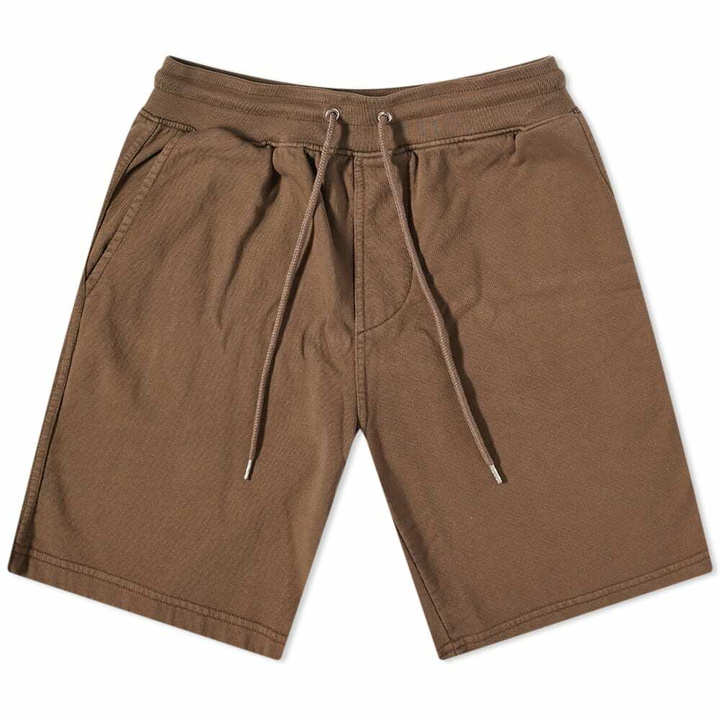 Photo: Colorful Standard Men's Classic Organic Sweat Shorts in CdrBrwn