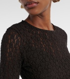 Velvet Tori lace top