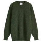Jamieson's of Shetland Men's Crew Knit in Pine