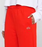 Alo Yoga Accolade cotton-blend sweatpants