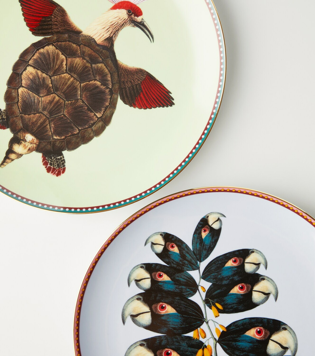 La DoubleJ Turtlair porcelain decorative plate