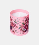 Dolce&Gabbana Casa Rosa Moschata scented candle