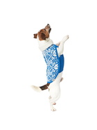 MC2 Saint Barth Dog Sweater With Nordic Jacquard