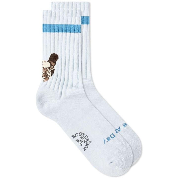 Photo: Rostersox Dog Socks in Blue