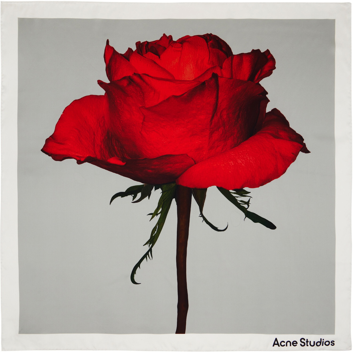 Acne Studios White Square Silk Scarf