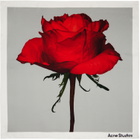 Acne Studios White Square Silk Scarf