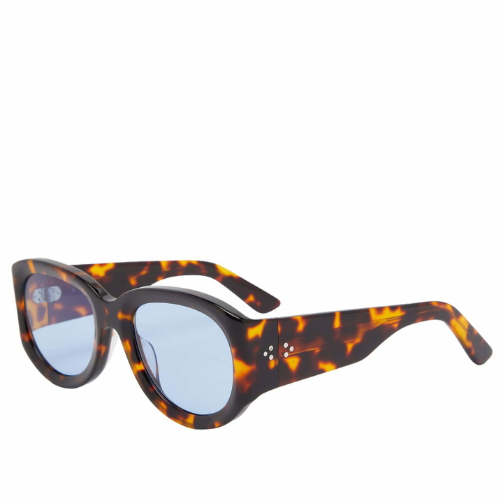 Photo: AKILA Tempo Sunglasses in Tortoise/Sky Blue 