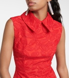 Emilia Wickstead Mason lace midi dress