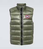 Canada Goose Crofton down vest