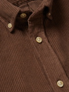 Portuguese Flannel - Lobo Button-Down Collar Cotton-Corduroy Shirt - Brown