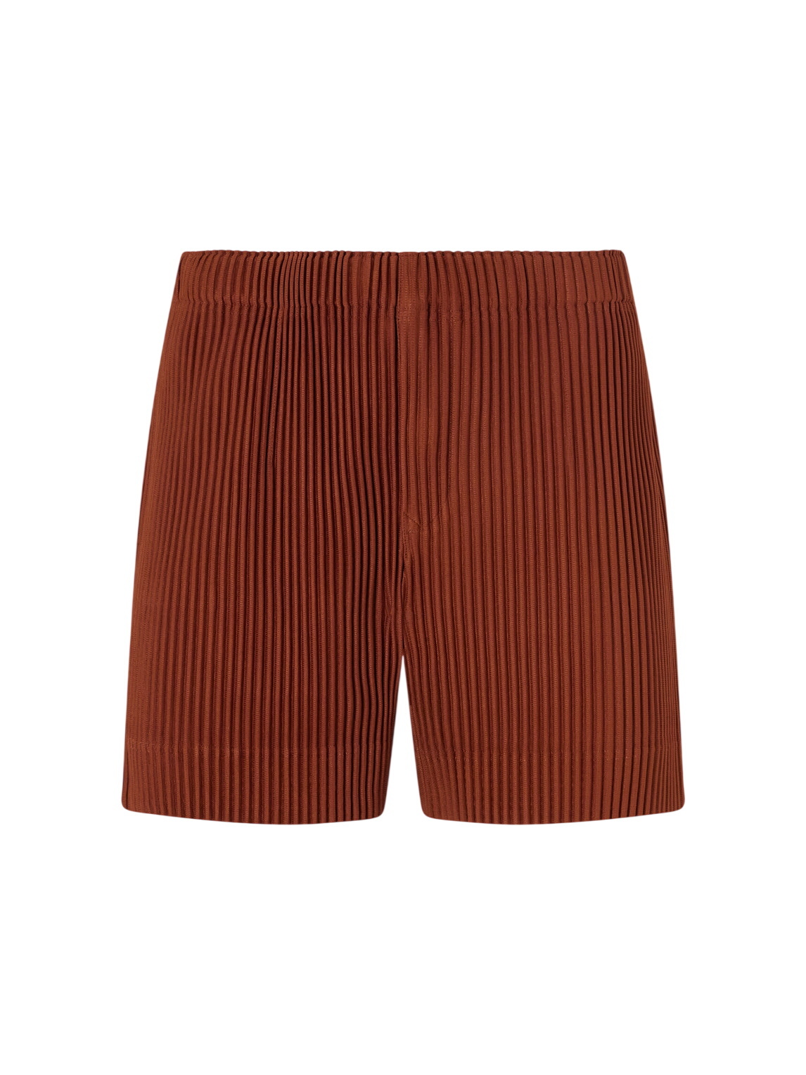 HOMME PLISSÉ ISSEY MIYAKE Brown Monthly Color May Shorts Homme
