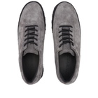 Tarvas Men's Explorer Black Sole Edition in Dark Grey