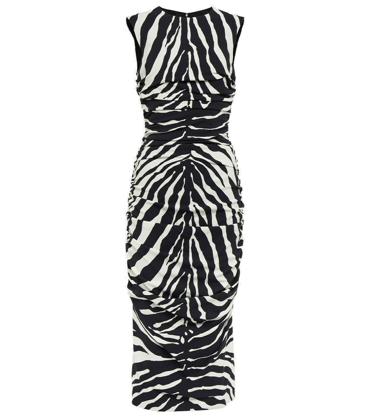 Photo: Dolce&Gabbana - Zebra-print cady midi dress