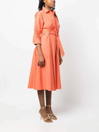 MAX MARA - Cotton Chemisier Dress