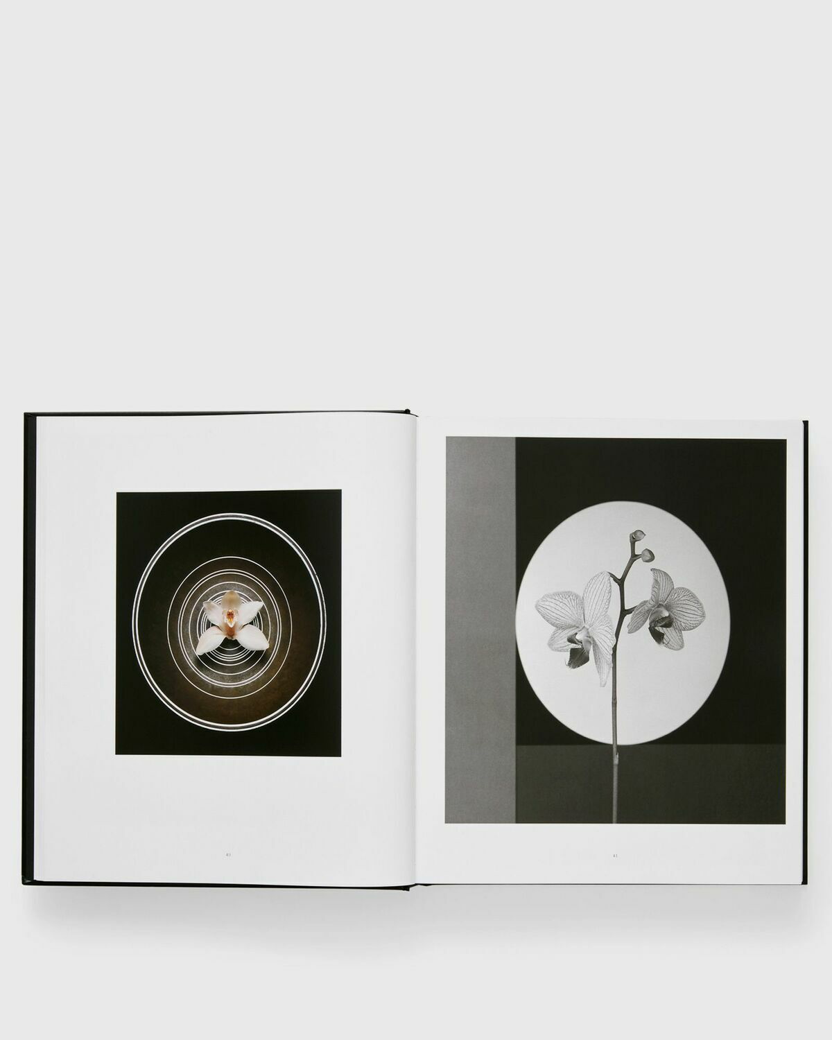 アート・デザイン・音楽 FLORA Mapplethorpe Mapplethorpe Flora - Philadelphia Museum Of Art Store
