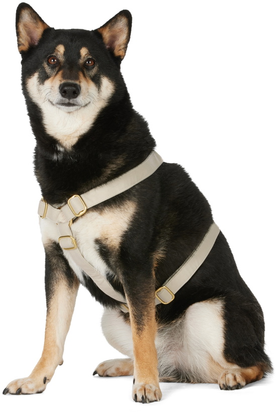 Photo: See Scout Sleep Beige 'The Scot' Medium Standard Harness